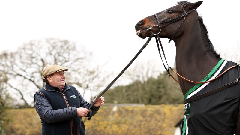 Trainer Nicky Henderson parading Shishkin this morning