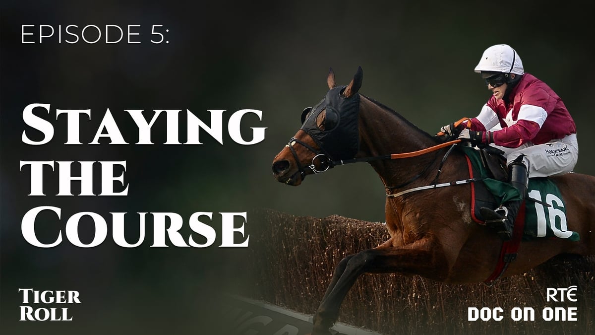 Tiger Roll: The People's Horse: Staying The Course