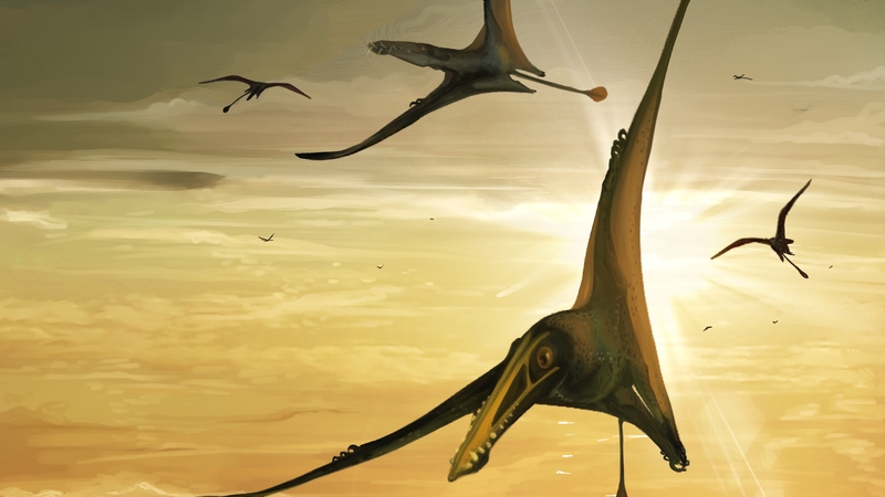 The pterosaur had an estimated wing span of 2.5 metres and lived around 170 million years ago