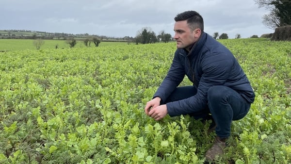Walter Furlong said his family will work with farmers in the Diageo pilot project