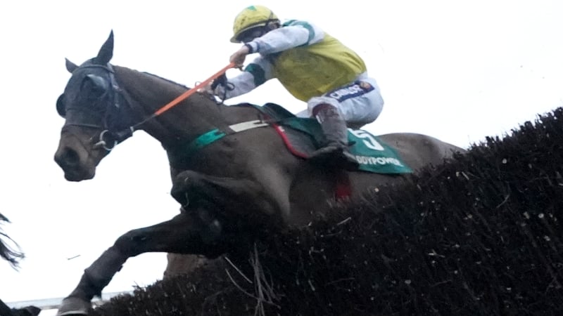 Enjoy D'allen goes in the Irish Grand National at Fairyhouse