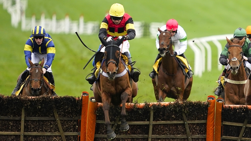 Knight Salute has proven a revelation since switched to hurdles