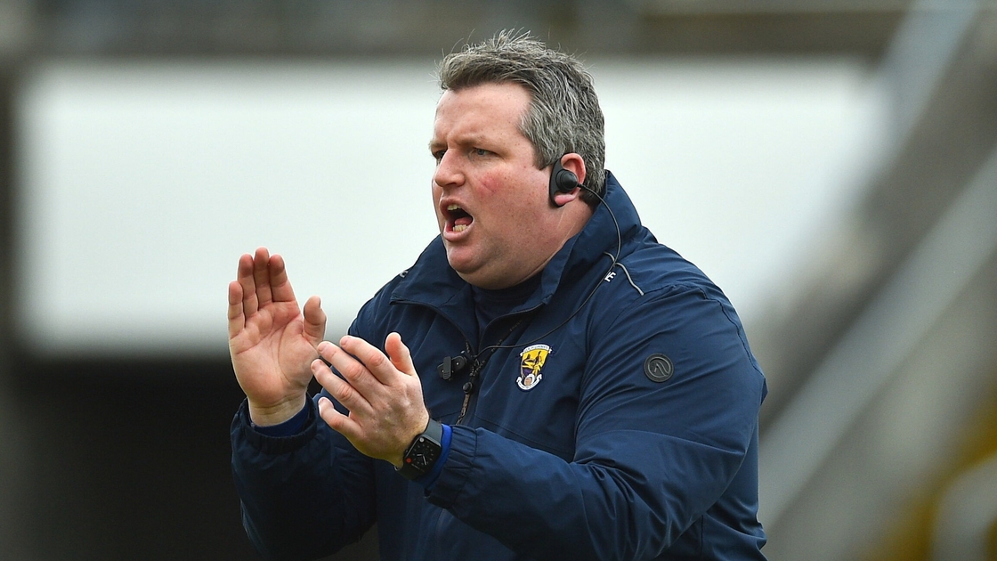 Wexford manager Darragh Egan