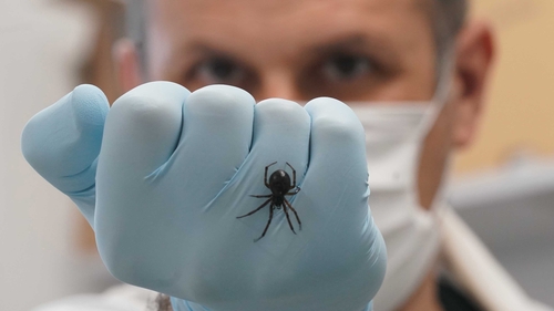 Dr Michel Dugon said it was a fascinating discovery