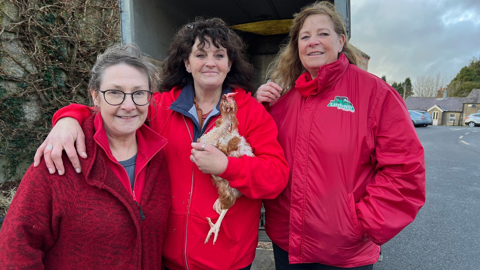 Charity running hen rescue appeals for new owners
