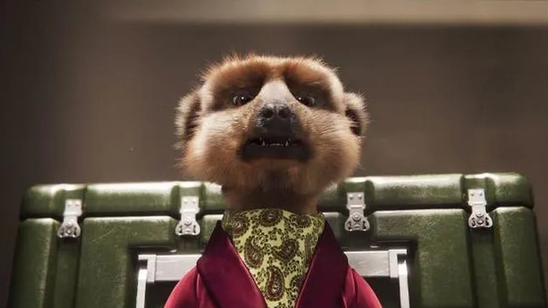 Aleksandr the Meerkat has been Compare The Market's mascot since 2009 (Photo: Compare The Market)