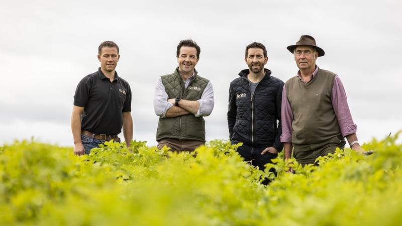 Derek Keogh, Tom Keogh, Ross Keogh and Peter Keogh of Keogh's Farm