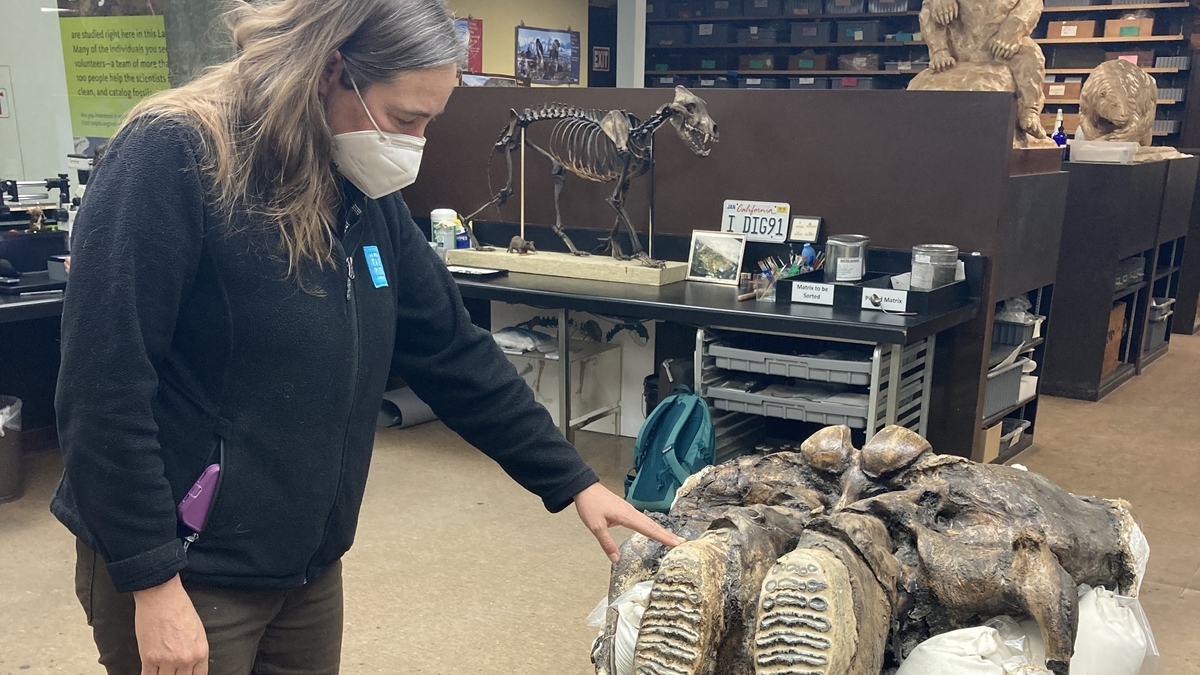 LA Postcard #2 | Culture File