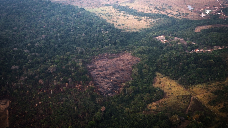 Fields scorched by wildfires in the Amazon rainforest near the Candeias do Jamari region of Porto Velho in 2019