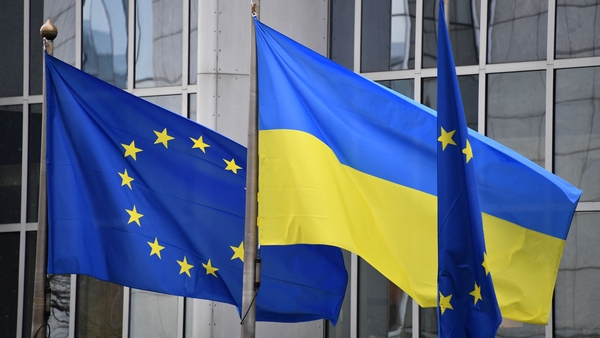 The motion is a recommendation to member states