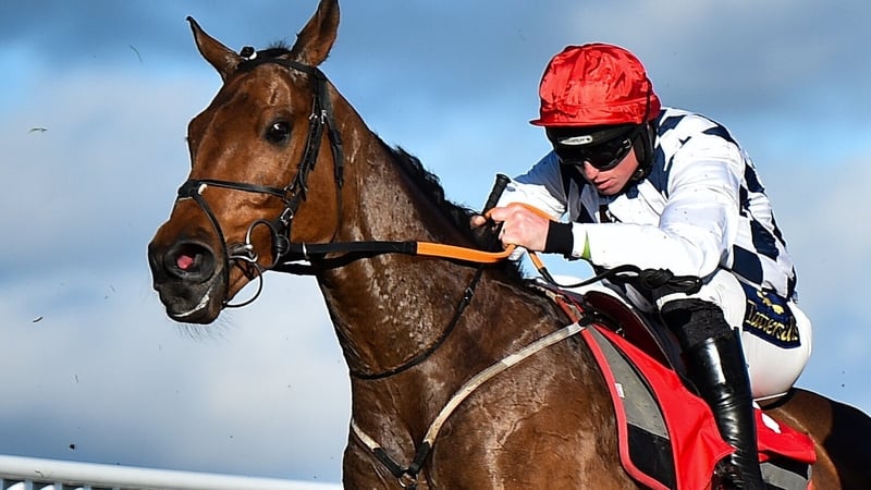 Galvin is going for the Cheltenham Festival Gold Cup.