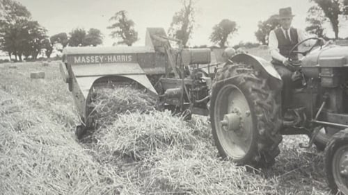 'Between 1941 and 1945 - when the scheme was at its most draconian - the state responded to a fairly widespread dissidence by confiscating some 7,365 acres'