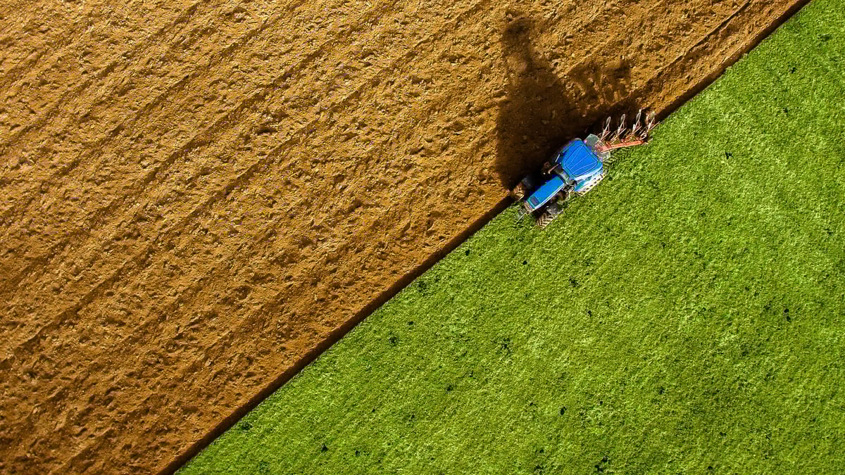 "I have grains to plough and set but I cannot afford to go ploughing and setting"