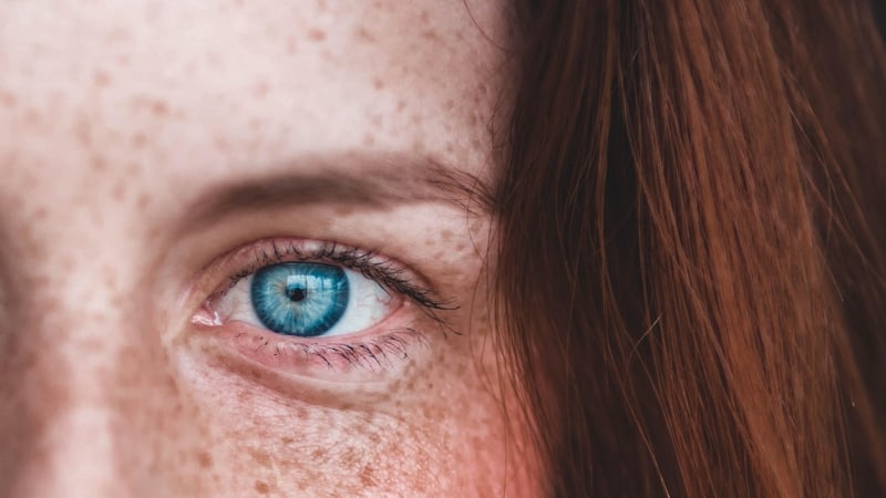 Millions of years of evolution via genetic mutation has led to our existence as humans, on a planet full of biological diversity. Photo: Erik Mclean/Unsplash