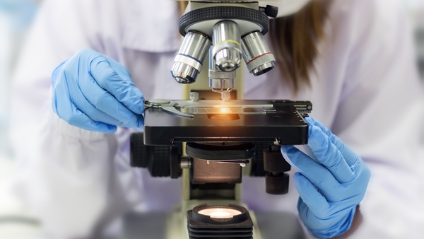 Routine laboratory services will be withdrawn, which will affect hospital and GP services
