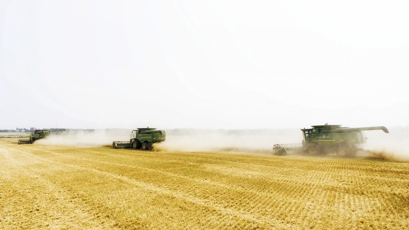 Ukraine increased grain production by 32% in 2021 to 85.7m tonnes (File photo)
