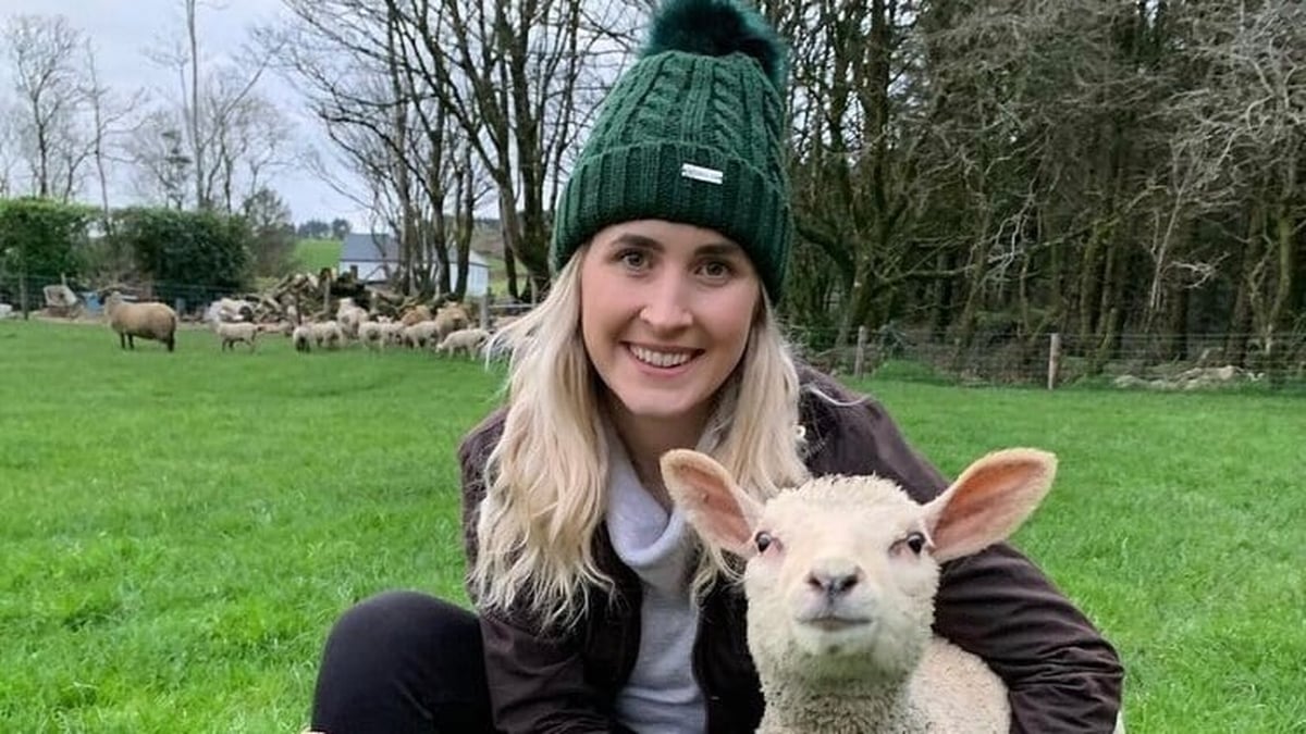 TikTok - Katie Shanahan