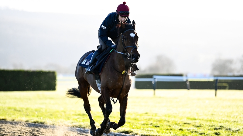 Tiger Roll and Lisa O'Neill on the gallops earlier this week.