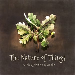 The Nature of Things show image
