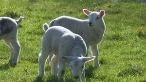 Farmer potter collaboration   show image