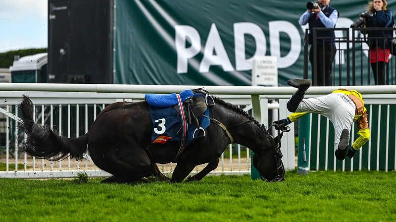 Jockey Paul Townend is unseated by his mount Galopin Des Champs at the last in the Turners Novices' Chase. Both horse and jockey were uninjured