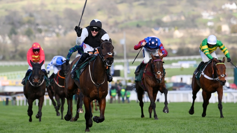 Flooring Porter's Cheltenham Festival hat-trick bid is back on course