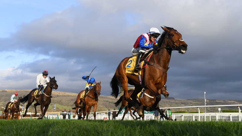 Love Envoi racing to victory at Cheltenham on St Patrick's Day in 2022