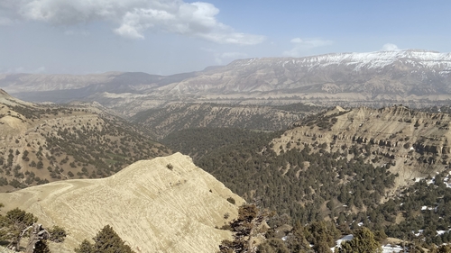 Afghanistan was taken over by the Taliban last August