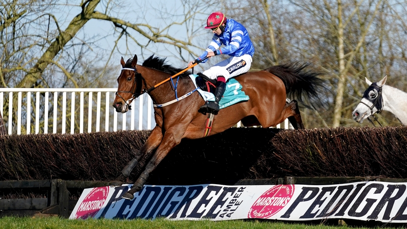 The ultra-consistent Screaming Colours boasted form figures of 12224-2 heading into the Uttoxeter marathon