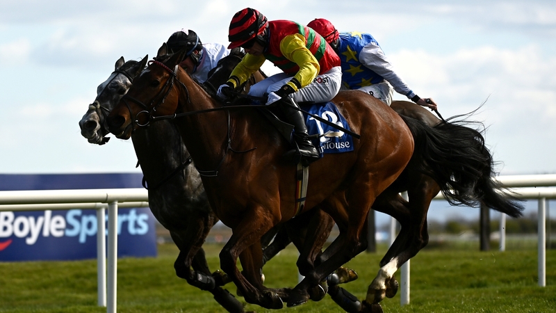 Max Flamingo will discover his weight for the Fairyhouse feature next week