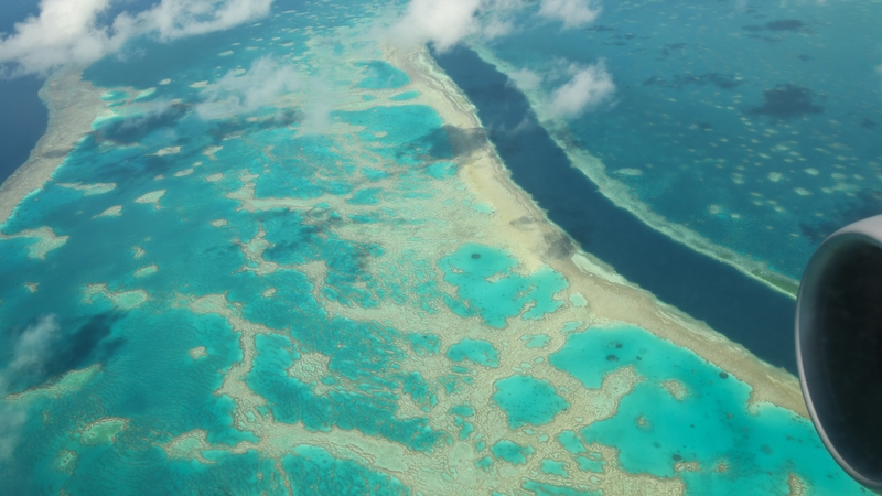 Higher-than-average temperatures have again caused severe bleaching in parts of the reef