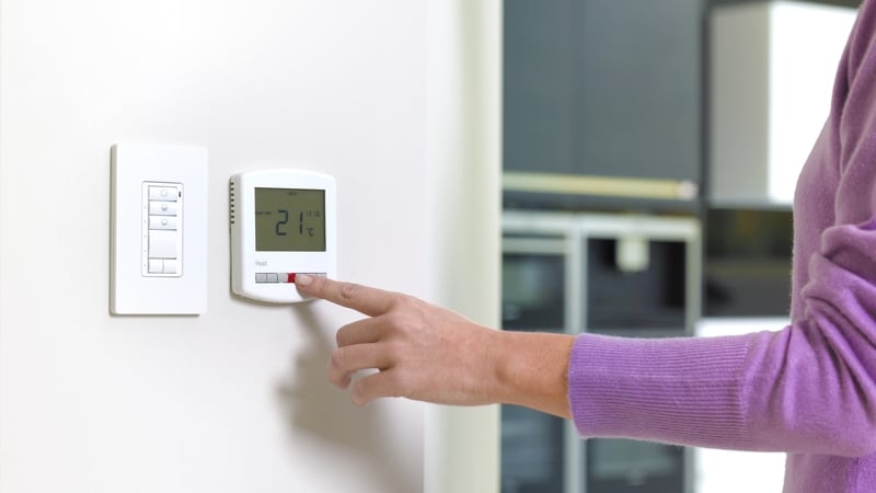 The International Energy Agency (IEA) in Paris agrees that when done on a large scale, small behavioural changes can significantly reduce gas and oil demand