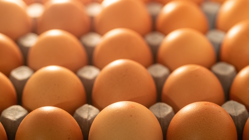 Consumers bought 619 million eggs in the 12 months to July