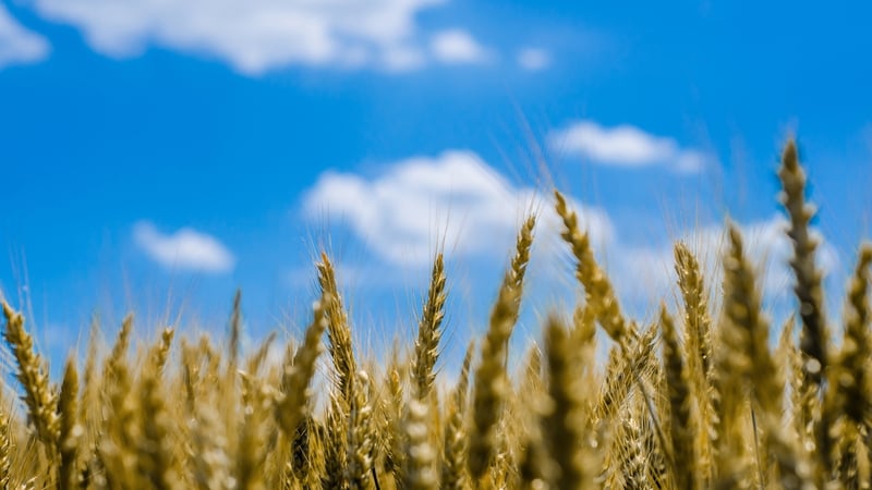 The number of people 'marching to starvation' has risen from 80 million to 276 million over the last four to five years