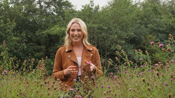 Wildflowers in wasteland: Faoi Bhláth