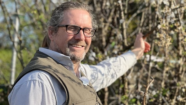 Herbalist and forager Aaron Foley has spent several years rewilding his back garden