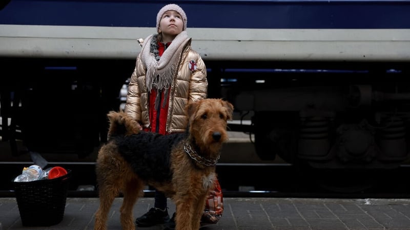 A child and her dog flee Mariupol (Image: Getty)