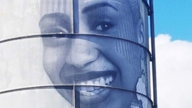 The 24m high mural was created by street artist and activist Joe Caslin