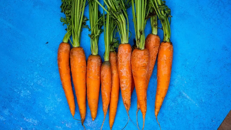 There's more to this brightly coloured root veg that meets the eye. By Katie Wright.