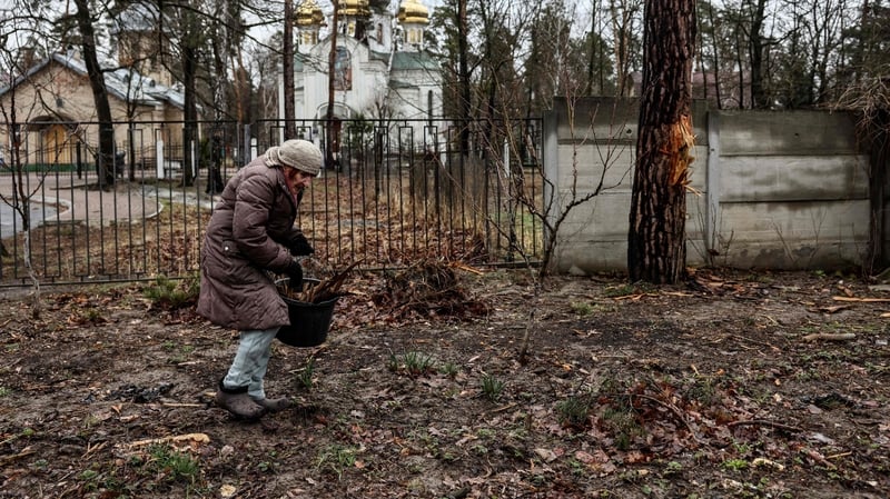 An elderly woman collects firewood to heat her house in Bucha