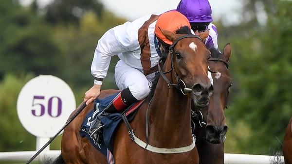 The nippy Pearls Galore's best chance of Group One glory might come on the tight tracks that prevail in the US