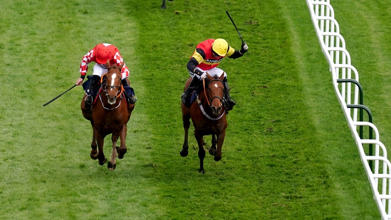 Knight Salute and Paddy Brennan (right) and Pied Piper ridden by Davy Russell finished in a dead heat before the stewards intervened