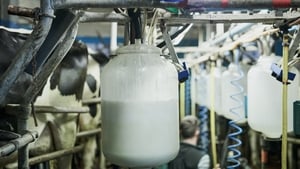 Irish dairy farmers more exposed than most show image