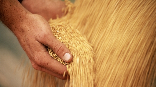 The decline for cereals was led by a fall in world wheat prices, the Food and Agriculture Organization said today