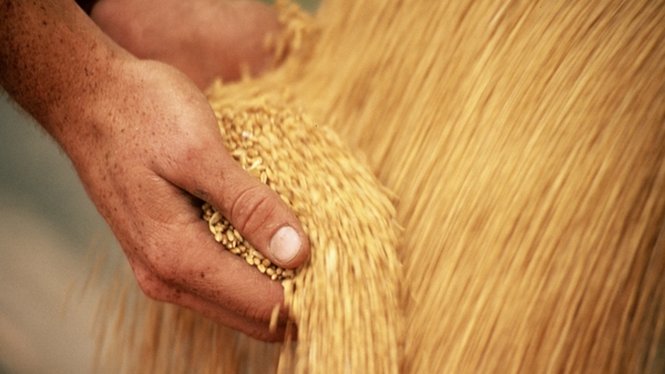 The decline for cereals was led by a fall in world wheat prices, the Food and Agriculture Organization said today