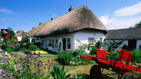 Traditional Roof Thatcher Marike Leen on The Ryan Tubridy Show