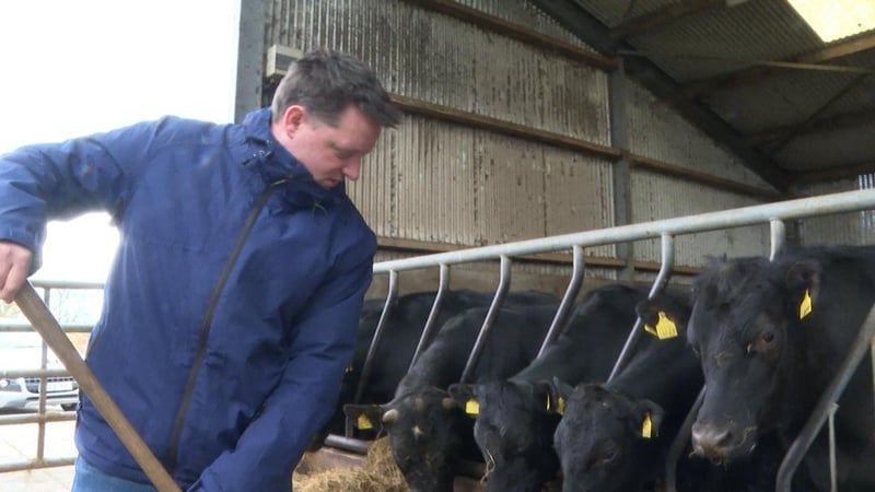 Jonathan Clibborn atá le tabhairt faoin bhfeirmeoireacht in Úcráin.