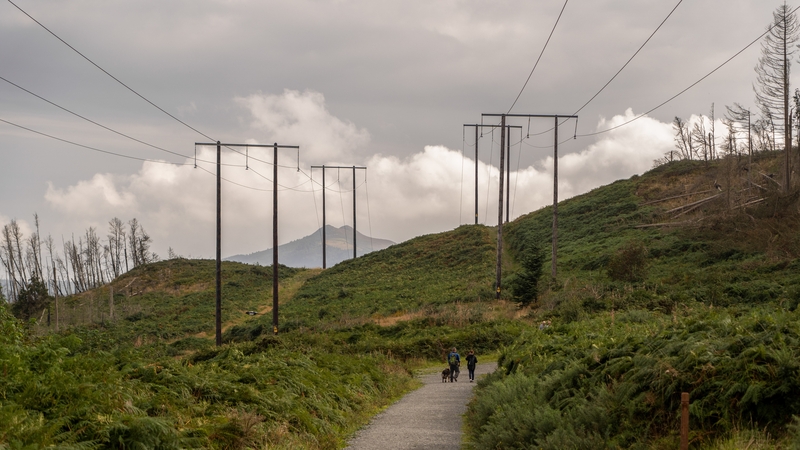The Department of Environment said the crisis in Ukraine was helping to galvanise action on climate change