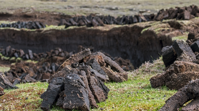 Minister Eamon Ryan said that people who have access to a bog will be able to continue as they have been doing in recent years (stock image)