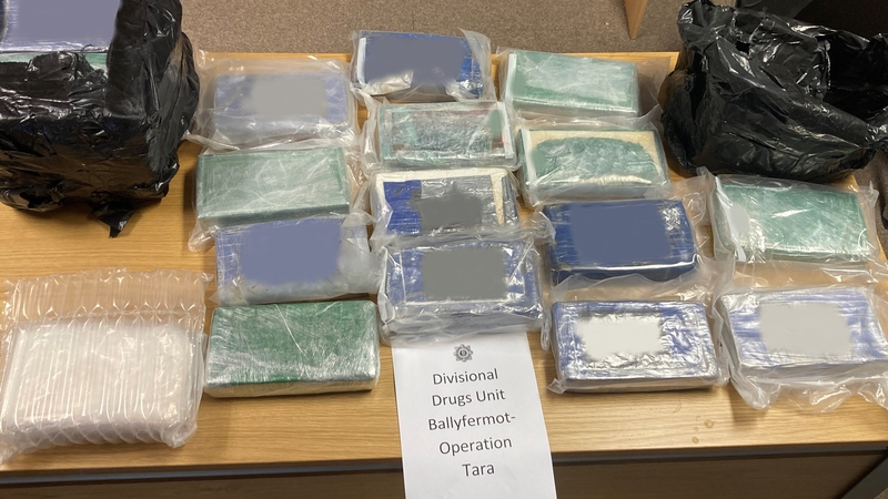 Some of the 25kg of suspected cocaine seized by gardaí